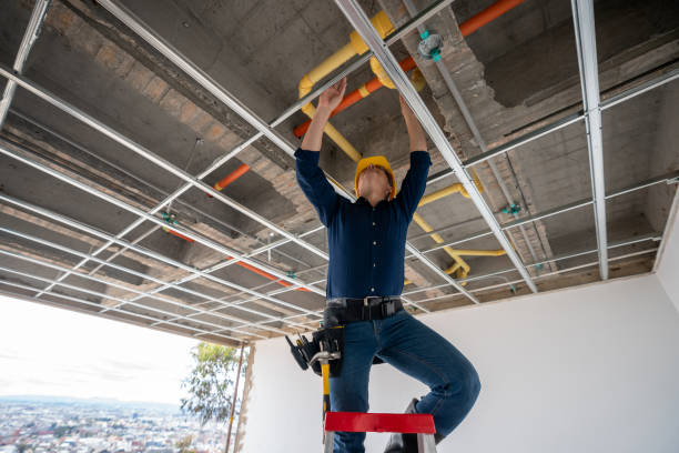 Best Residential Plumbing Services  in Lukachukai, AZ